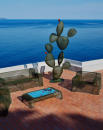 Poltrona_Lounge_Ivy.png