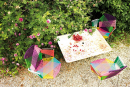 Poltrona_Pranzo_Tropicalia_Intreccio_Colorato.png
